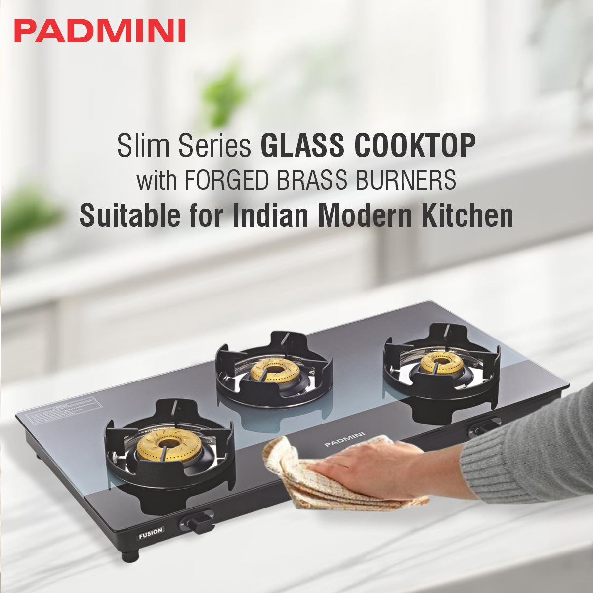 Gas Stove