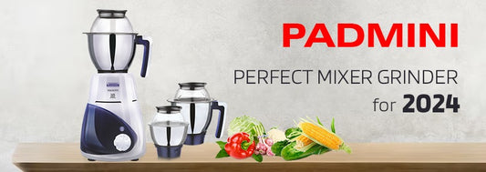 Online Perfect Mixer Grinder for 2024