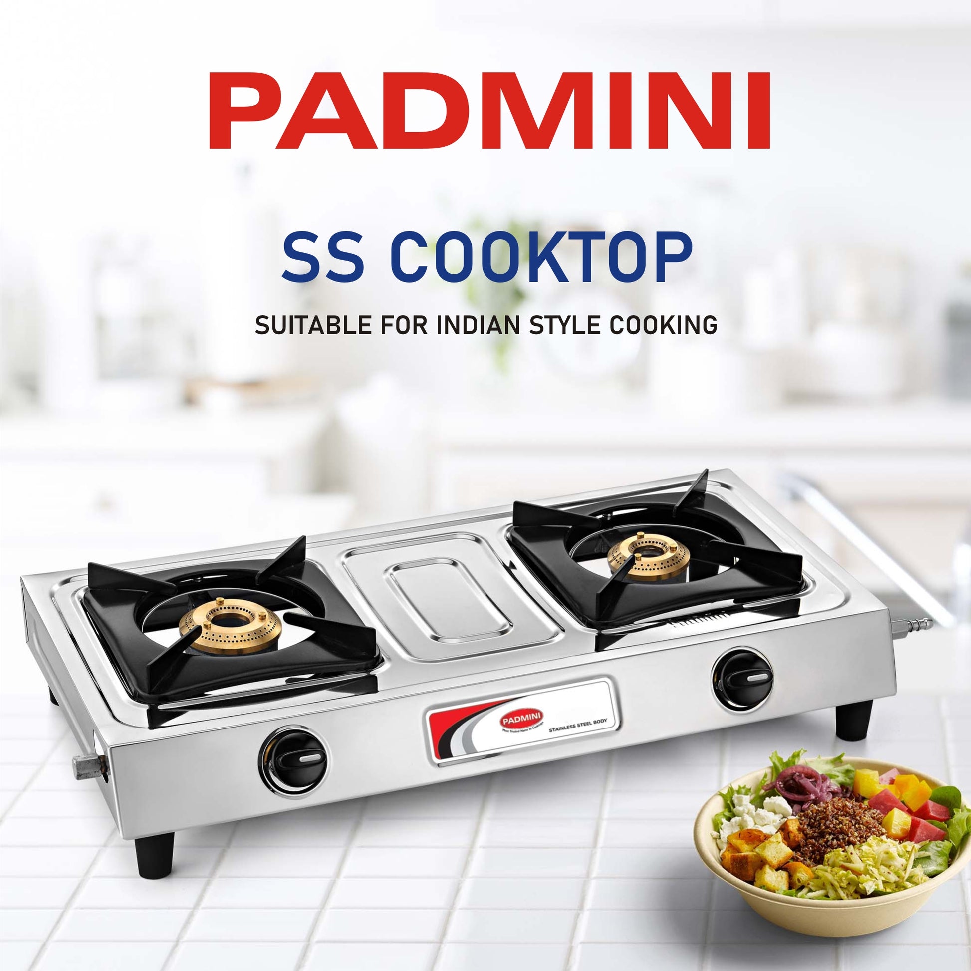 Buy Burner CS-201 Stainless Steel Gas Stove Online – PADMINI