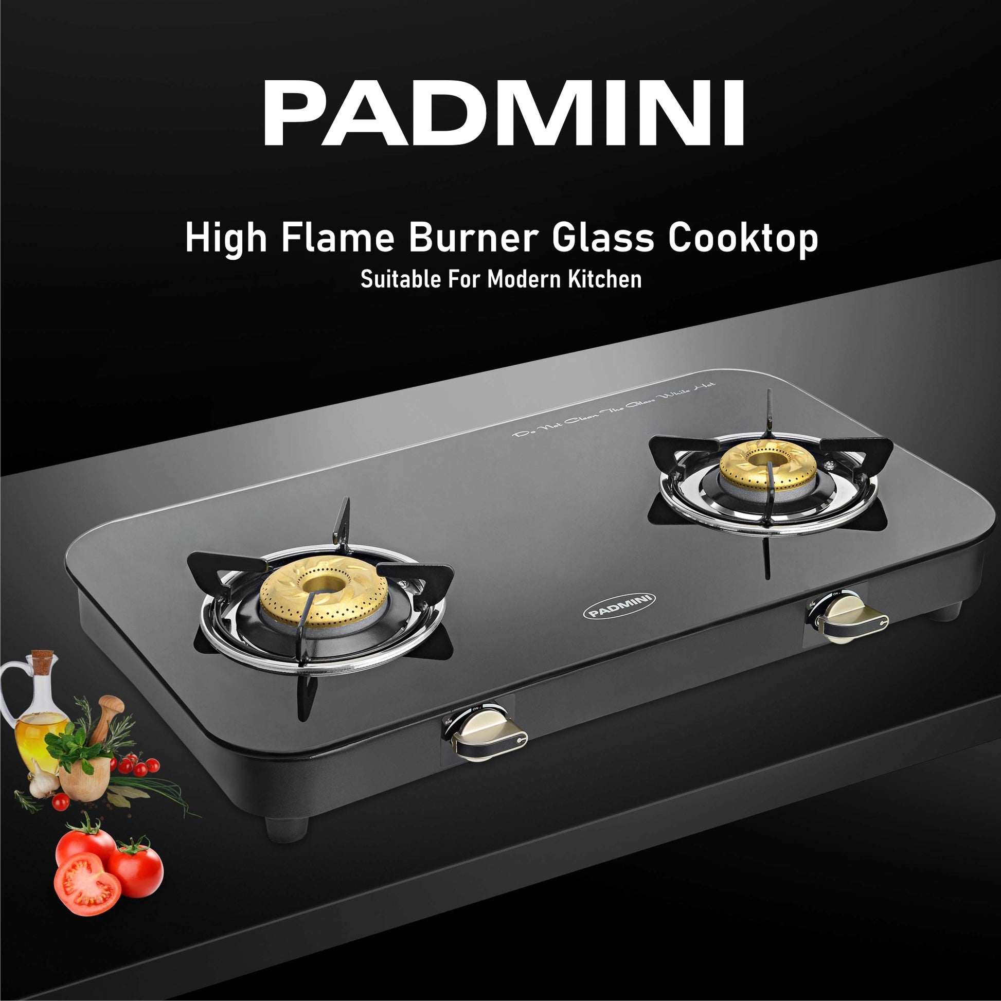 Buy Burner Cooktop 2GT DLX Online at Best Price India – PADMINI