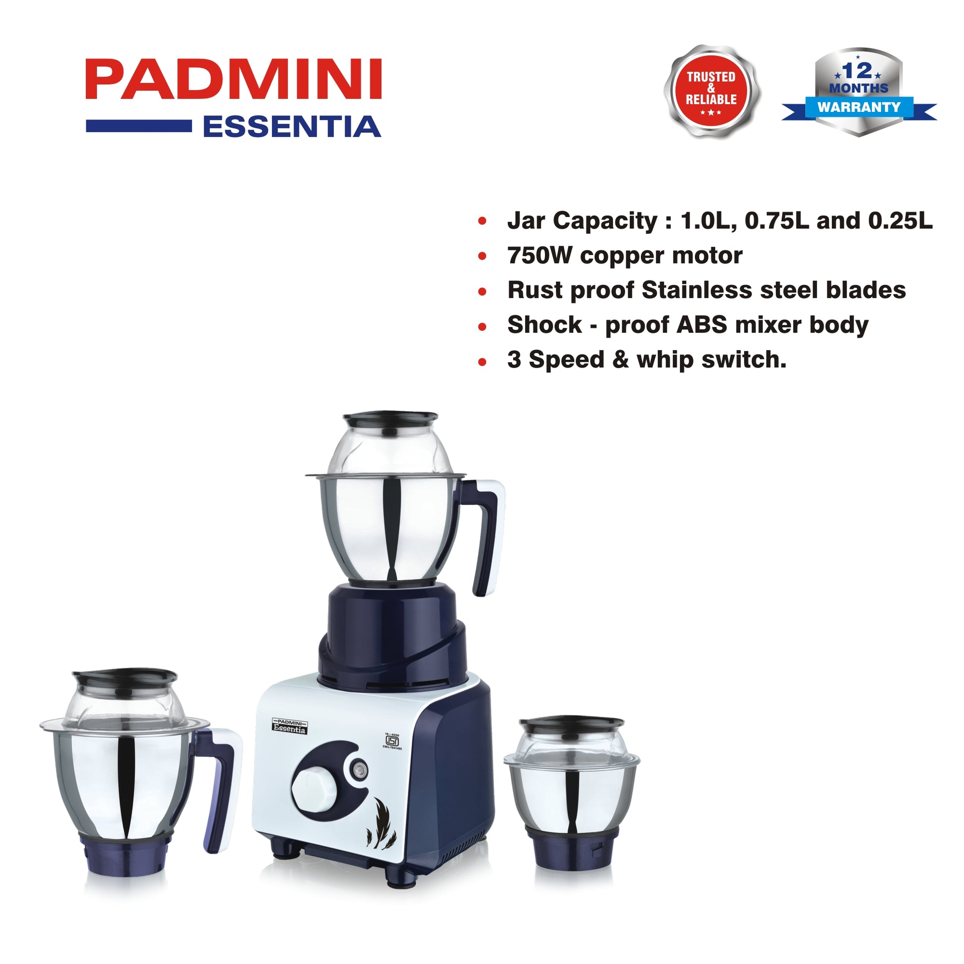 Buy Mixer Grinder Destiny 750